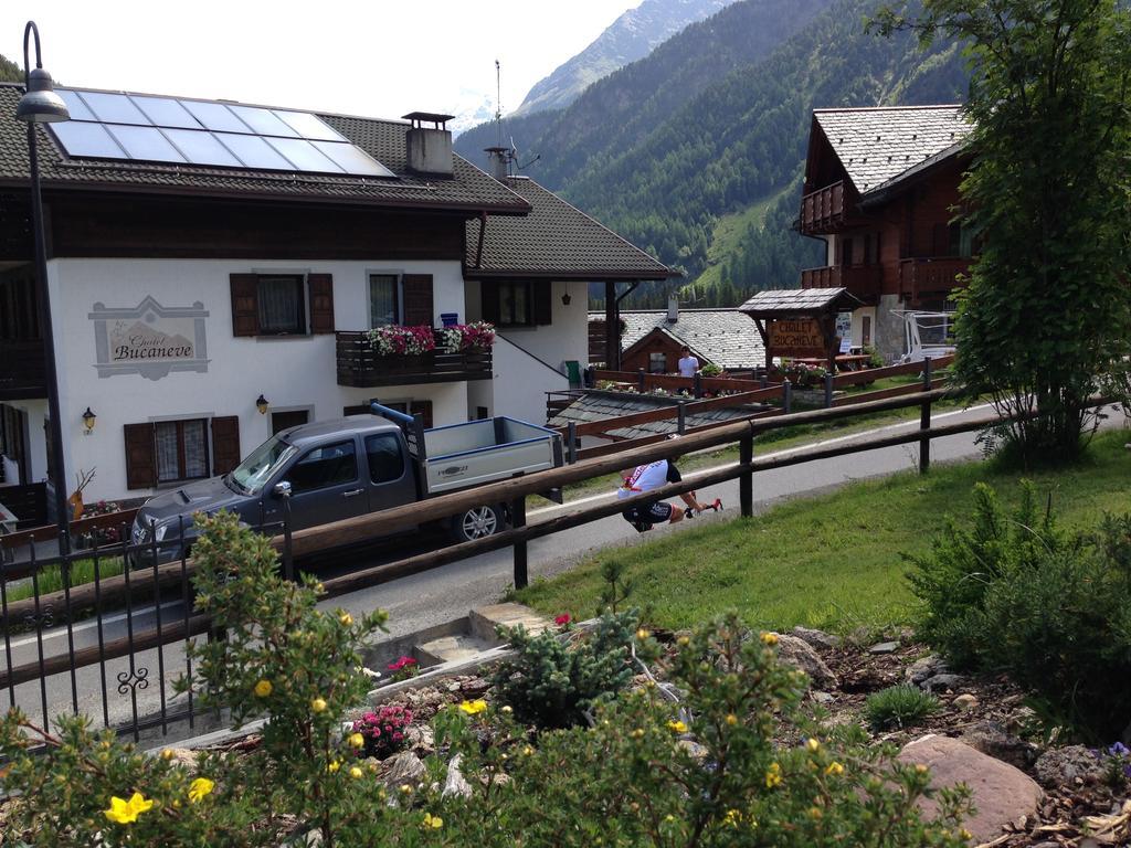 Chalet Bucaneve Santa Caterina Valfurva Eksteriør bilde