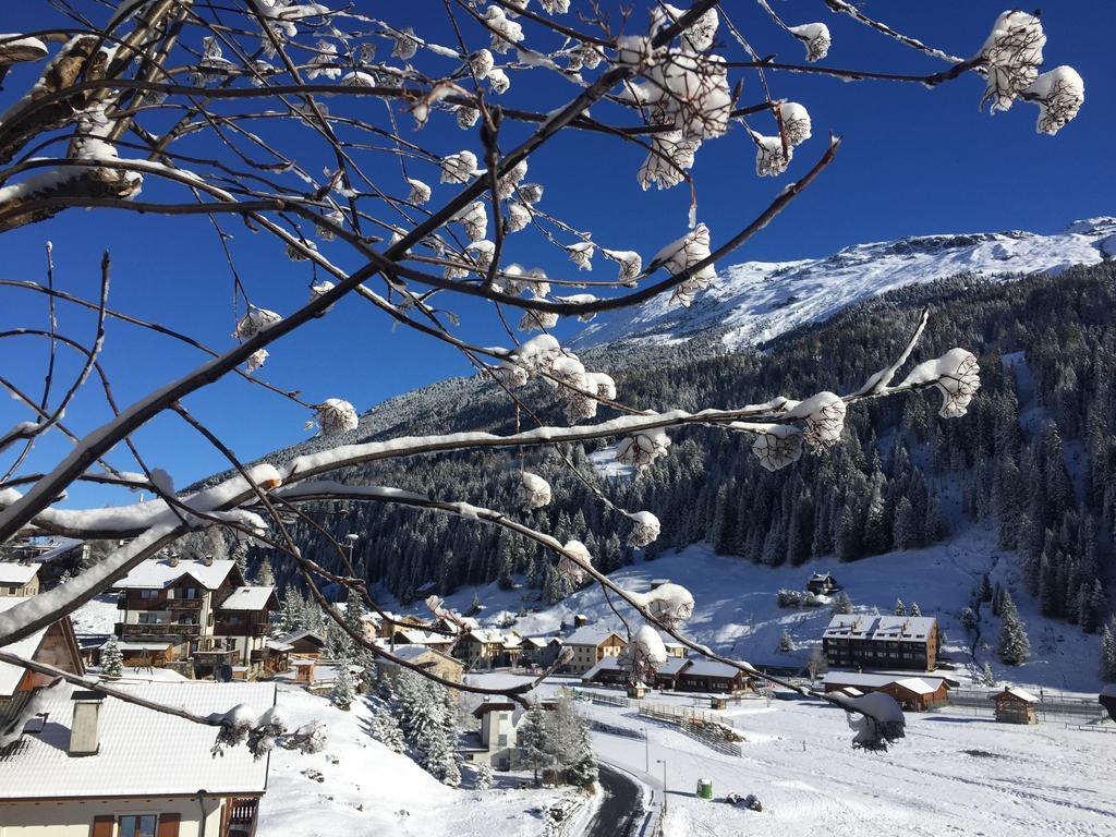 Chalet Bucaneve Santa Caterina Valfurva Eksteriør bilde
